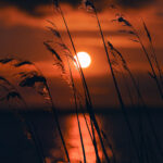 7D77B9AE-F7D5-4594-9E73-816F07D430C5