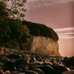 C82106F1-6D80-4886-8ADC-2EE236E09B42